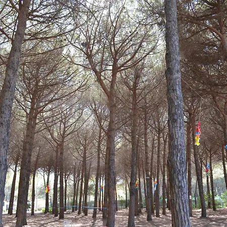 Campingplatz Giannella Orbetello