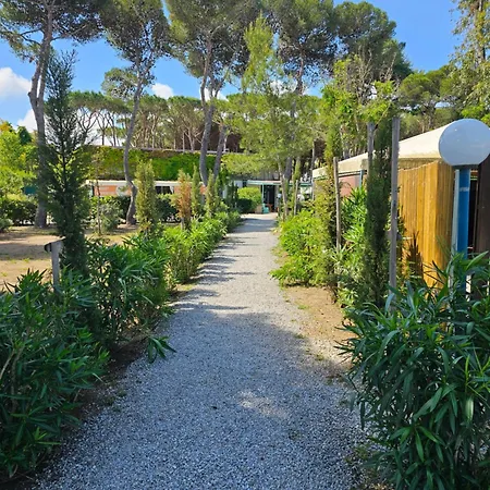 Giannella